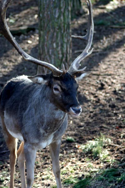 Killikus&reg; Fotographie